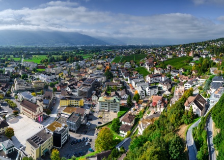 Aerial view of Vaduz city center and vineyards