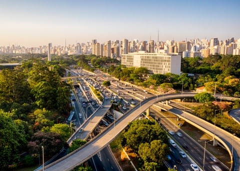 Trees on the side of interstate with skyline in foreground