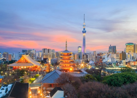 Panoramic view of Tokyo and Tokyo Tower at sunset