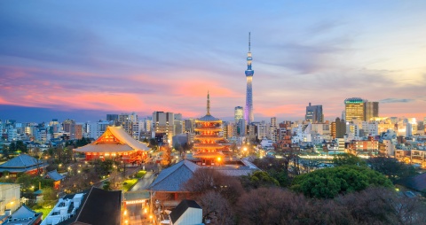 Panoramic view of Tokyo and Tokyo Tower at sunset