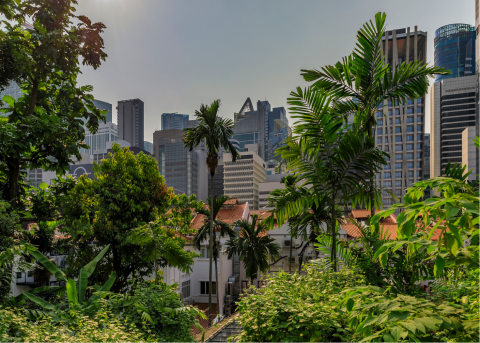 The district of Tanjong Pagar in central Singapore